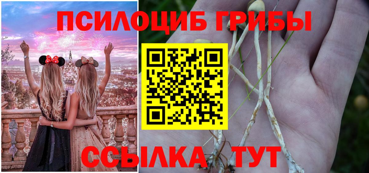 Галлюциногенные грибы Psilocybine cubensis Малоярославец